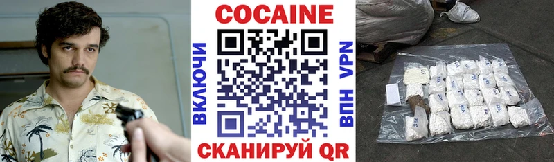КОКАИН Fish Scale  Купить закладки  Куровское 