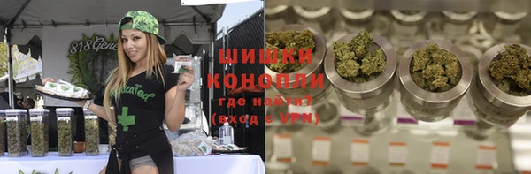 шишки Вязьма