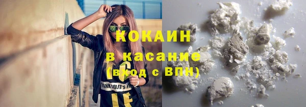 шишки Вязьма