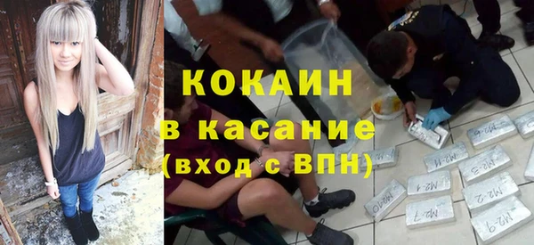 шишки Вязьма