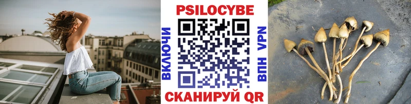 Купить закладки Куровское Галлюциногенные грибы мухоморы